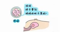 单角子宫在昆明爱维艾夫医院做超长方案试管生子需要多少钱？